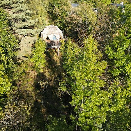 L'Oriel Du Senepy Guest House La Motte-d'Aveillans ภายนอก รูปภาพ